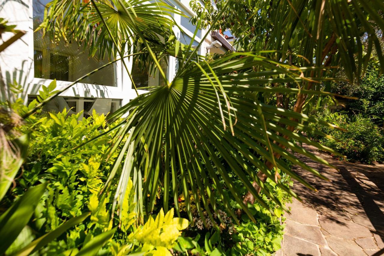 Apartment Lemut Portoroz Exterior foto